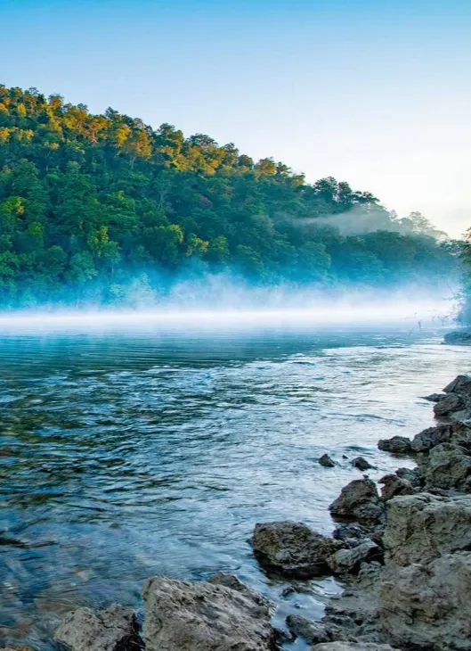 Best Destination wedding planners in Jim Corbett